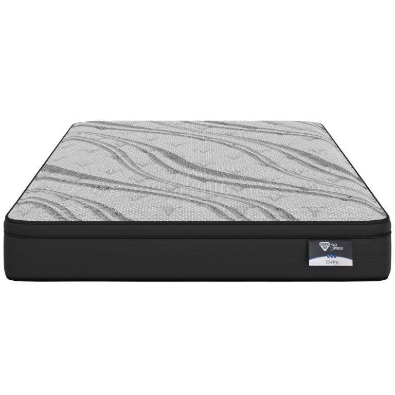 Back Supporter Essentials - Evelyn