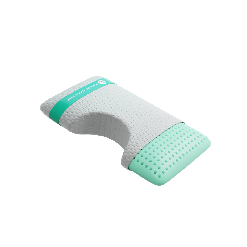 Bio Aloe Memory Foam Surround Pillow