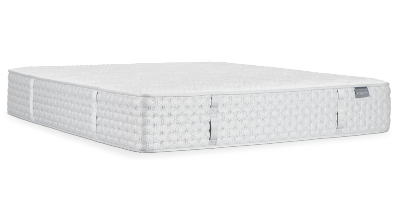 Aireloom Streamline - Extra Firm